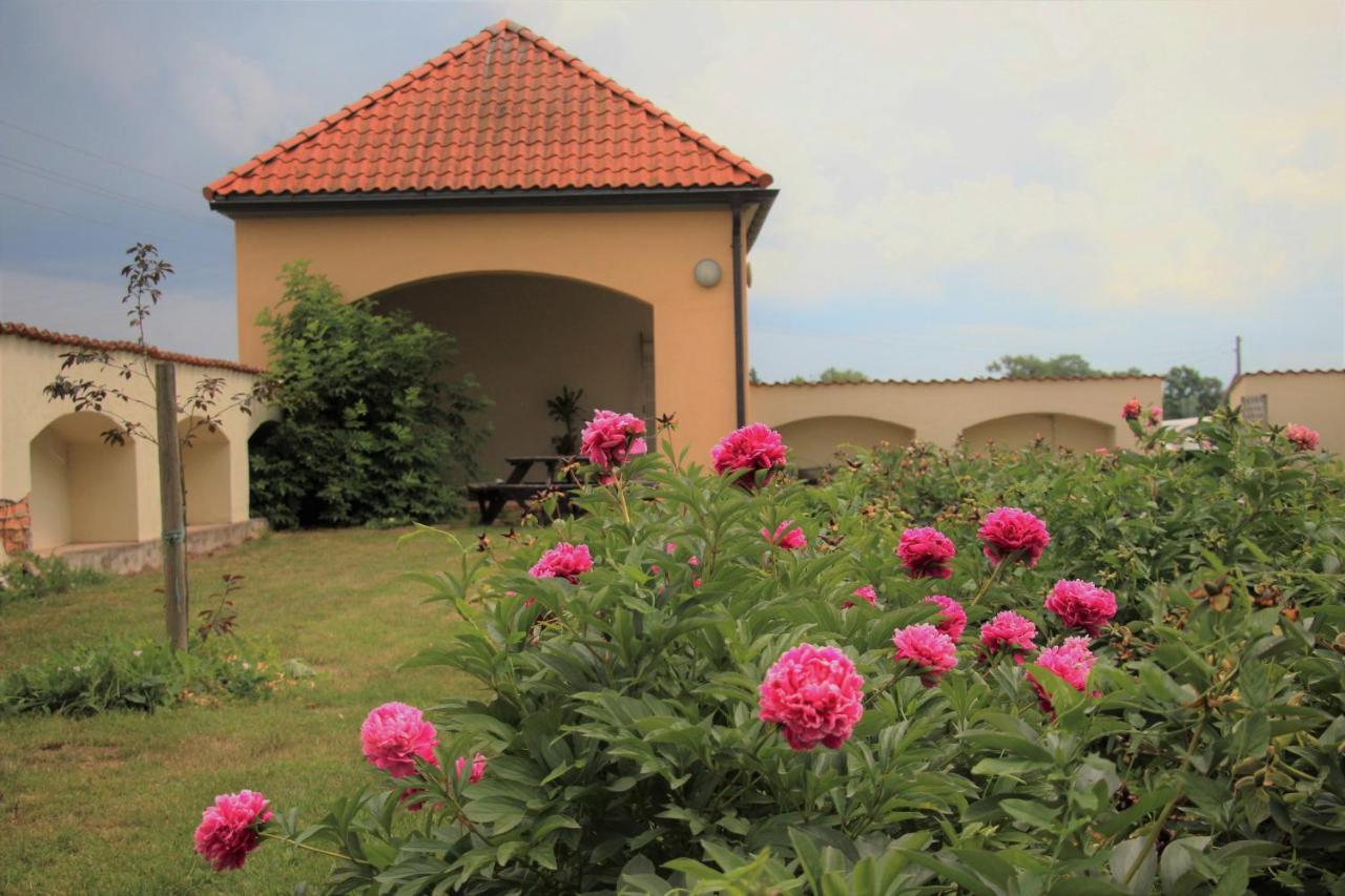 Blankenfeldes Muiza Hotel Tērvete Buitenkant foto